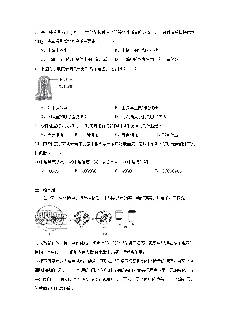 2.1《生物所需的营养》练习题（含答案）生物北京版（2024）七年级上册第2页