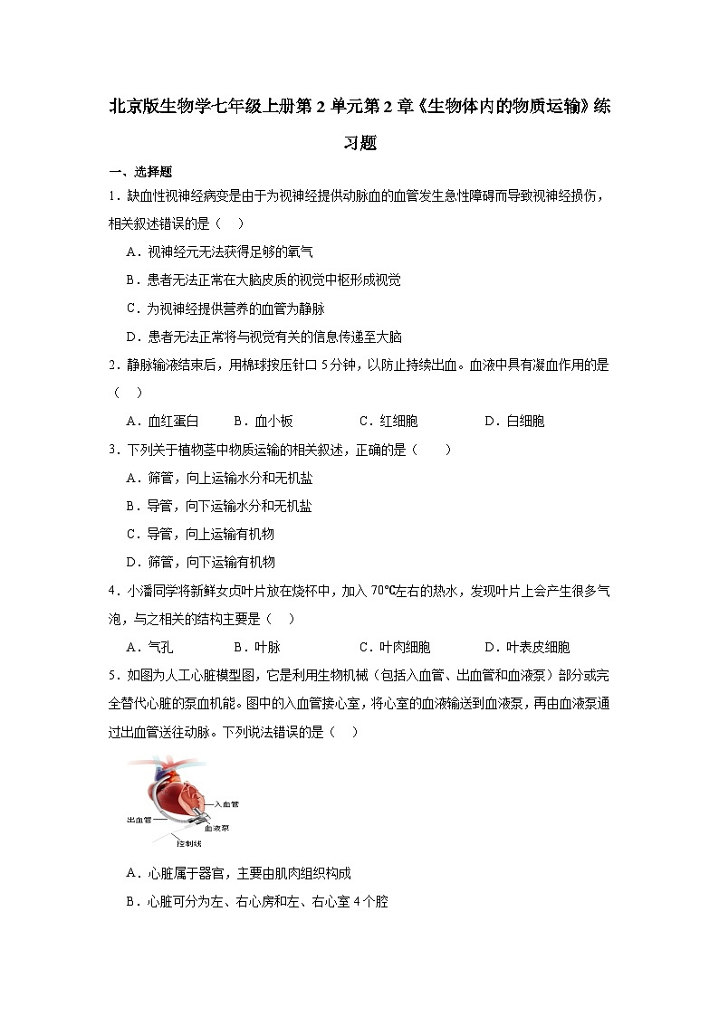 2.2《生物体内的物质运输》练习题（含答案）生物北京版（2024）七年级上册第1页