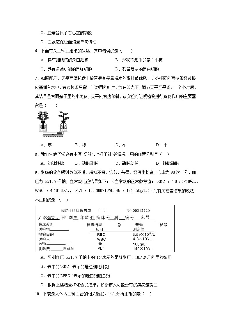 2.2《生物体内的物质运输》练习题（含答案）生物北京版（2024）七年级上册第2页