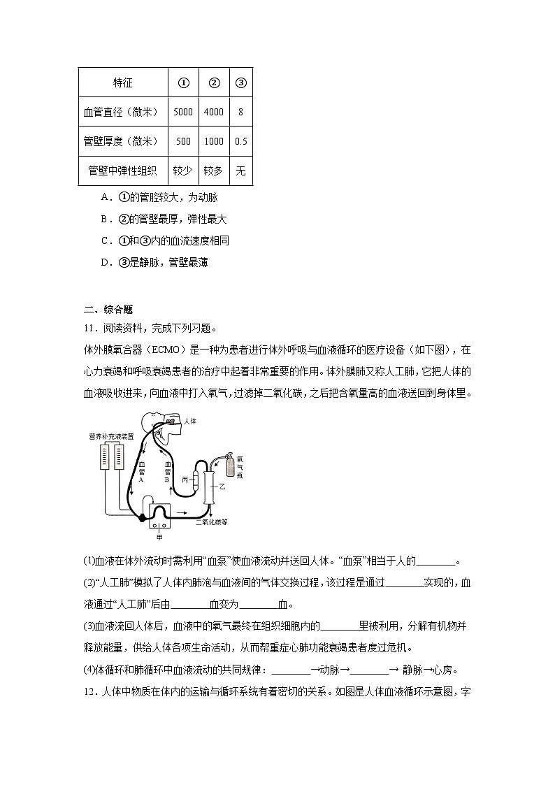 2.2《生物体内的物质运输》练习题（含答案）生物北京版（2024）七年级上册第3页