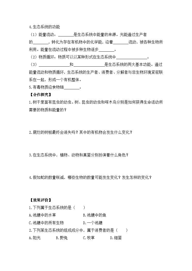 4.1.2 生态系统的结构和功能  导学案（含答案） 生物学鲁科版（五四学制）（2024）七年级上册第2页