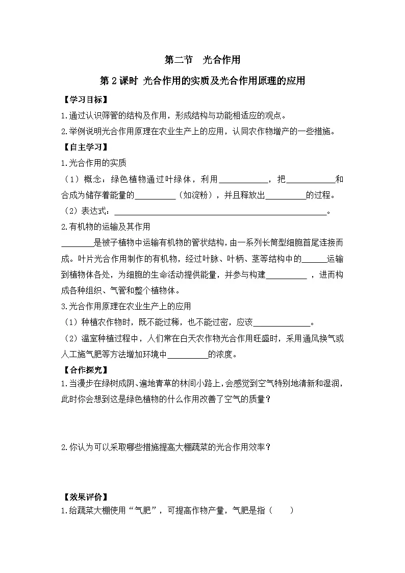 5.2.2 第2课时 光合作用的实质及光合作用原理的应用 导学案（含答案） 生物学鲁科版（五四学制）（2024）七年级上册第1页