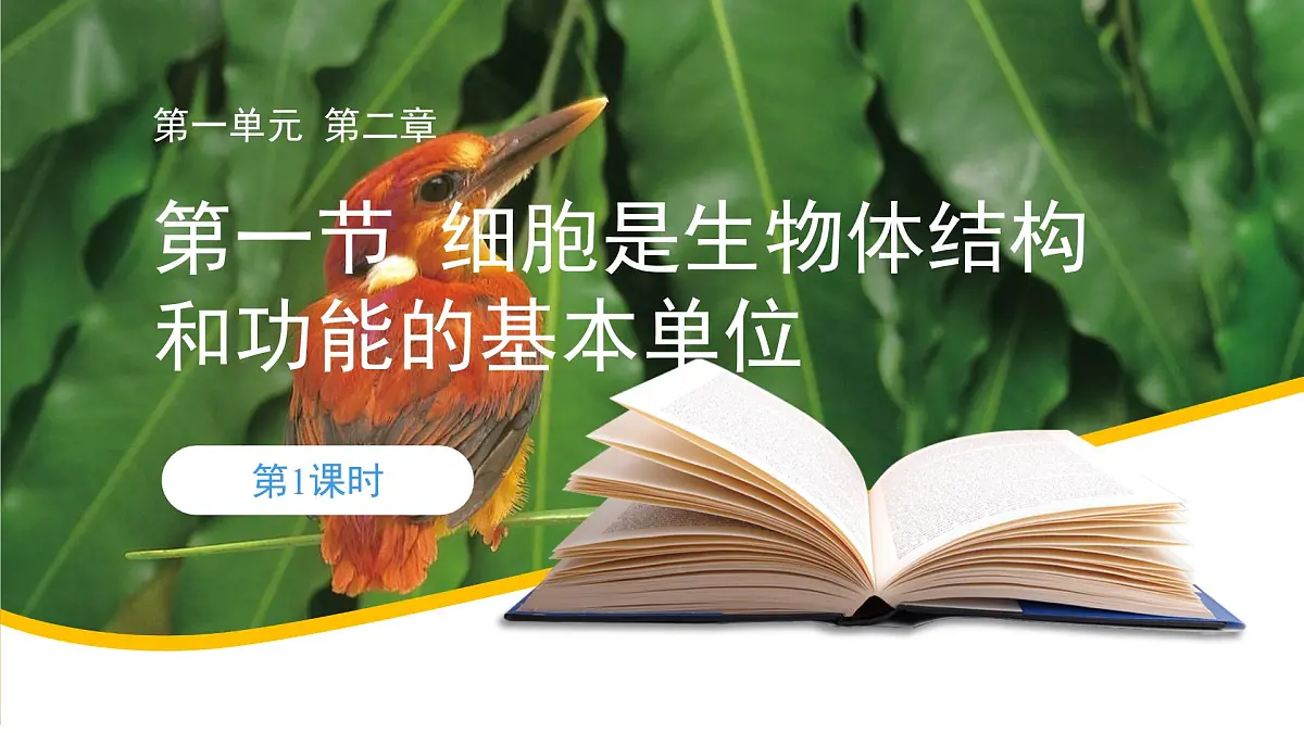 1.2.1 细胞是生物体结构和功能的基本单位 第1课时 课件第1页