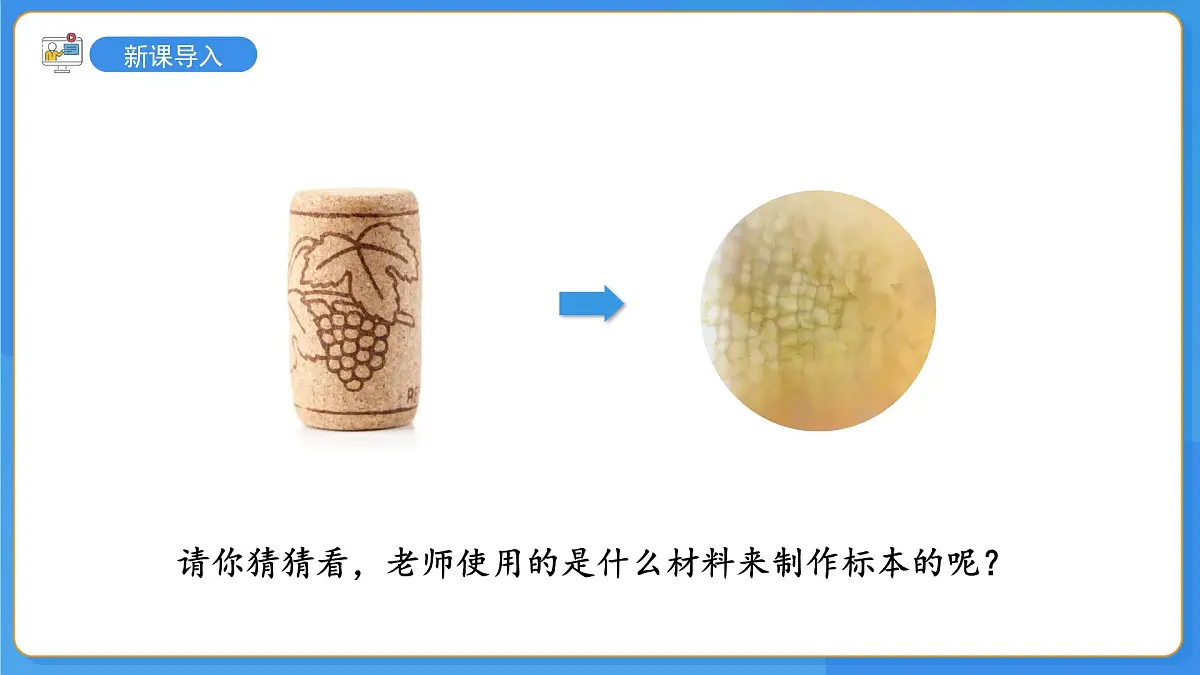 1.2.1 细胞是生物体结构和功能的基本单位 第1课时 课件第3页