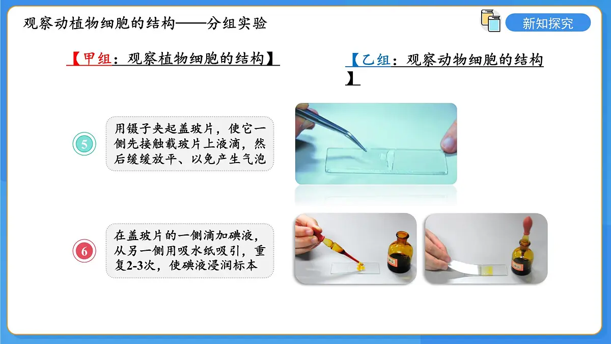 1.2.1 细胞是生物体结构和功能的基本单位 第1课时 课件第8页