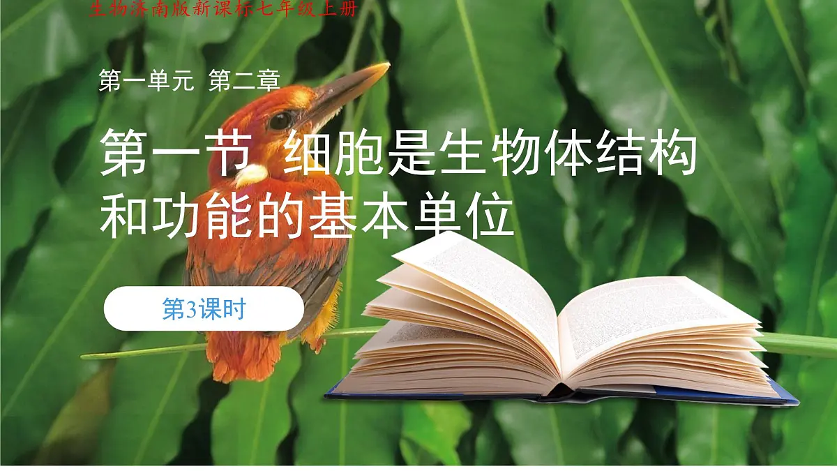 1.2.1 细胞是生物体结构和功能的基本单位 第3课时 课件第1页