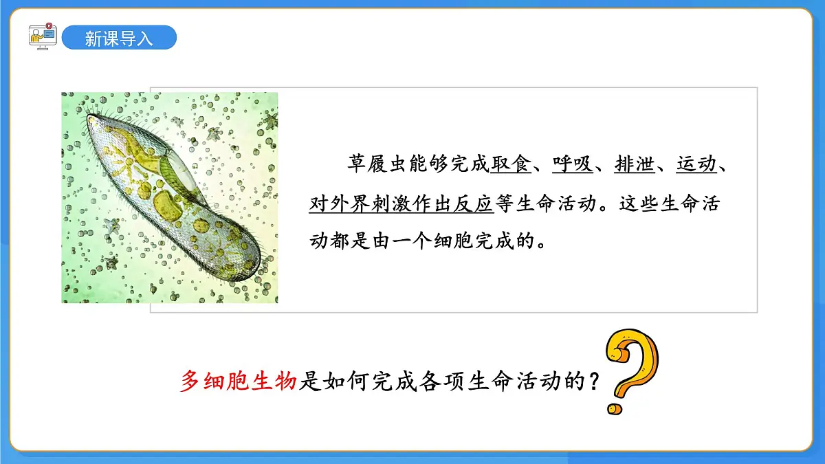 1.2.1 细胞是生物体结构和功能的基本单位 第3课时 课件第3页