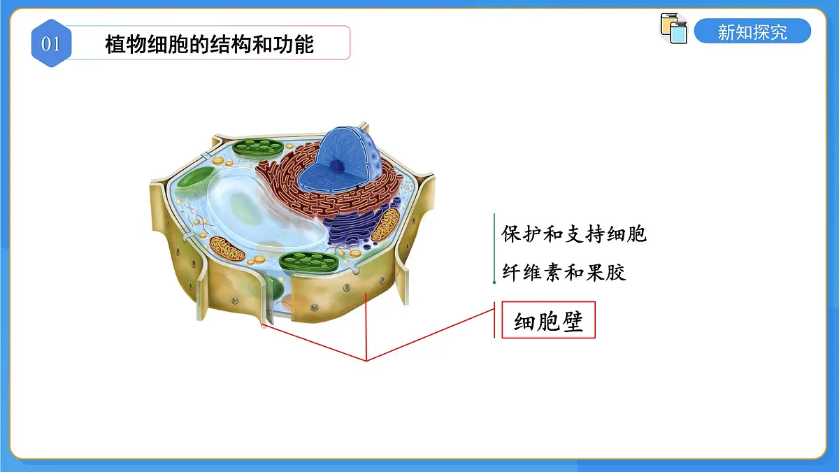 1.2.1 细胞是生物体结构和功能的基本单位 第3课时 课件第6页