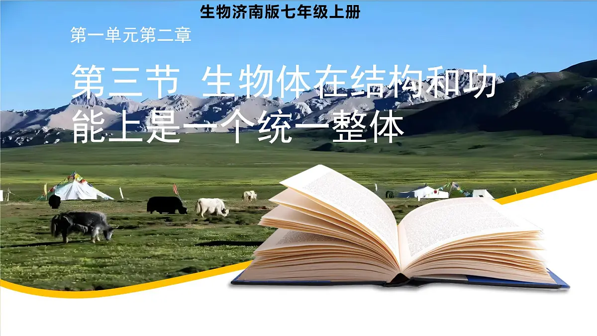 2.3第三节 生物体在结构和功能上是一个统一整体 课件第1页