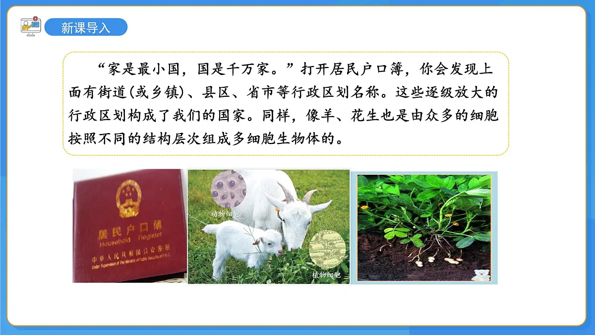 2.3第三节 生物体在结构和功能上是一个统一整体 课件第3页