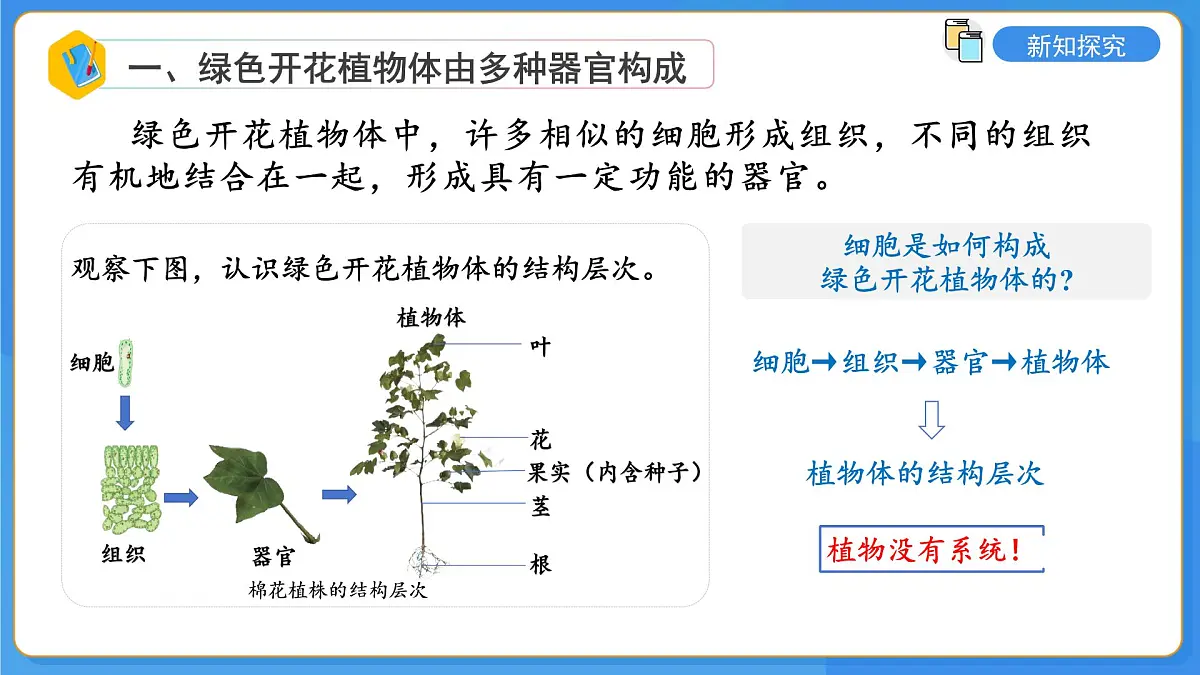 2.3第三节 生物体在结构和功能上是一个统一整体 课件第4页