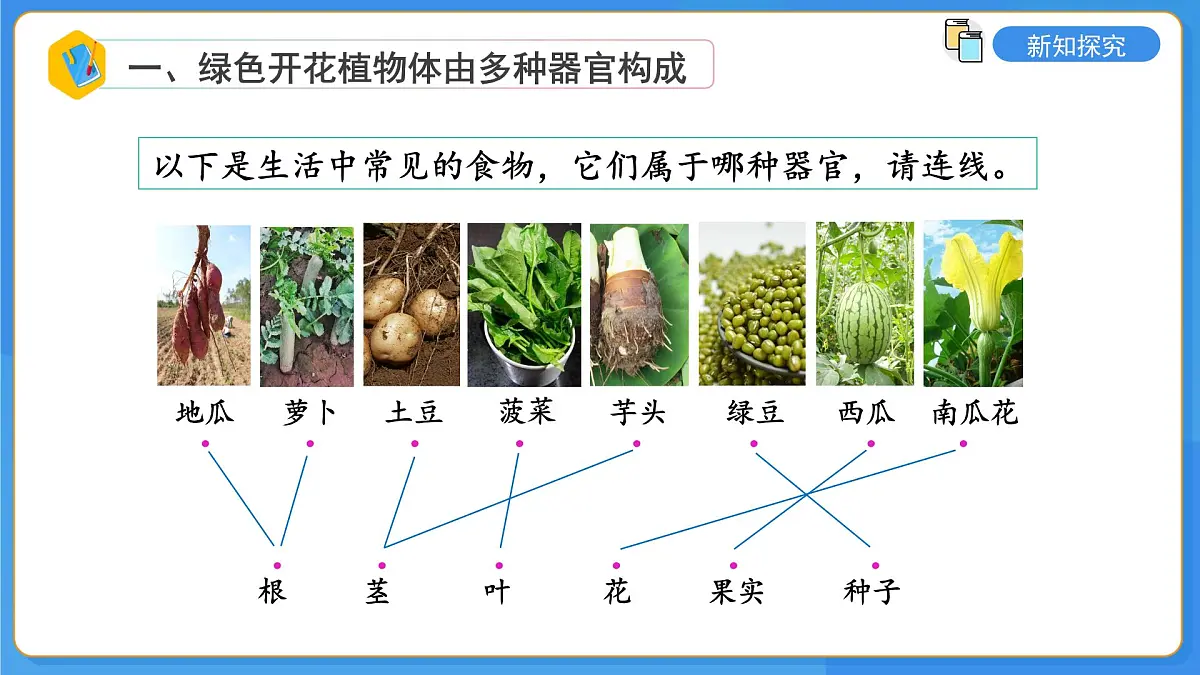 2.3第三节 生物体在结构和功能上是一个统一整体 课件第6页