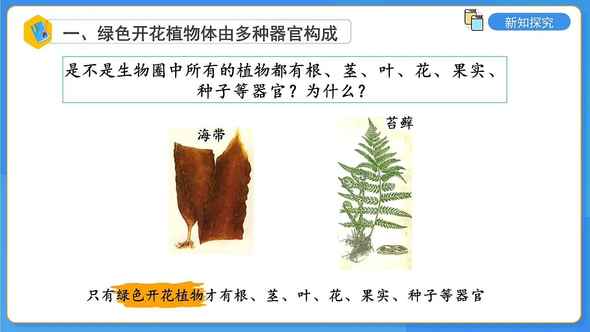 2.3第三节 生物体在结构和功能上是一个统一整体 课件第7页