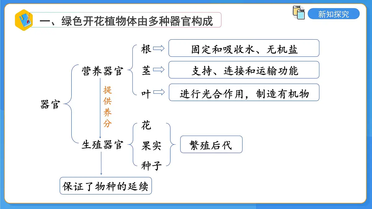 2.3第三节 生物体在结构和功能上是一个统一整体 课件第8页