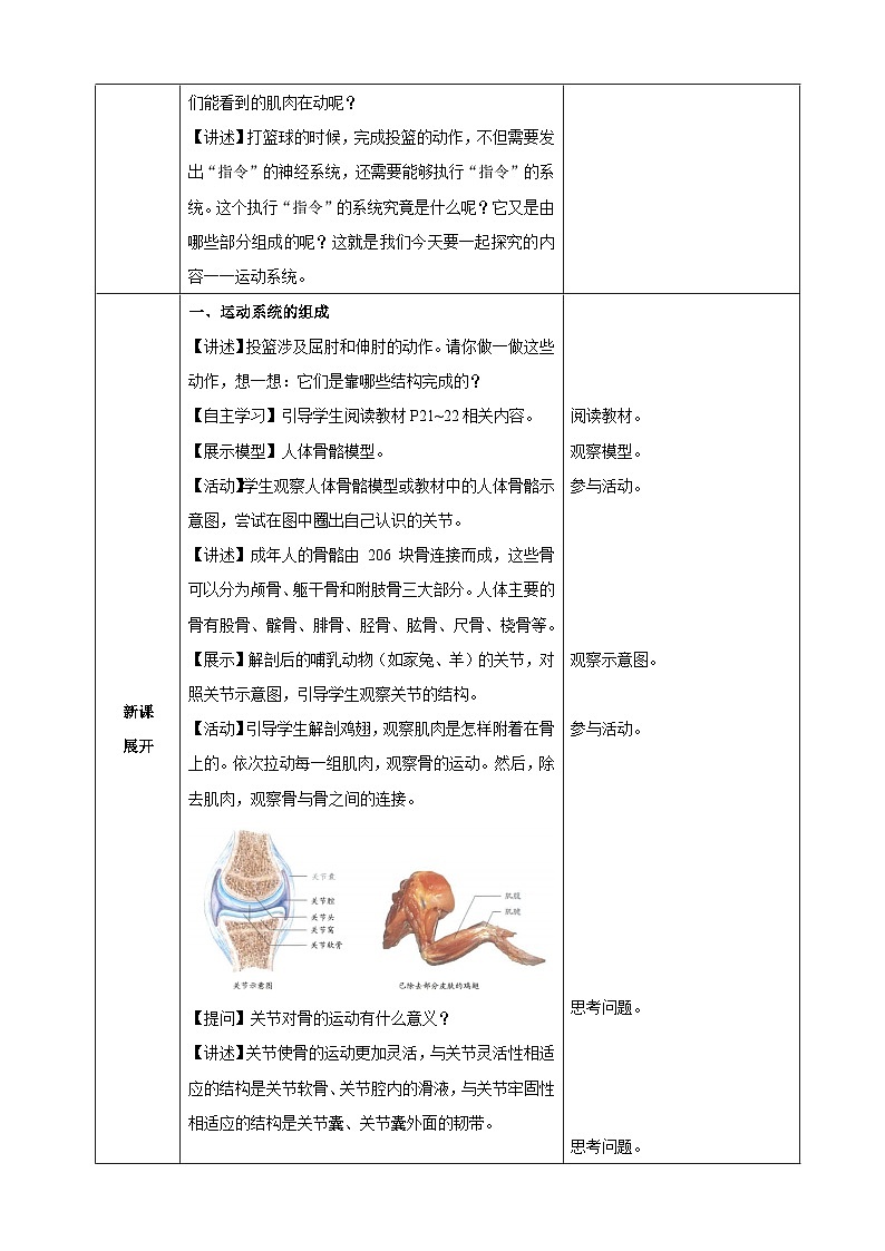 人教版（2024）生物八年级上册 4.6.3 神经系统支配下的运动（表格式教案）第2页