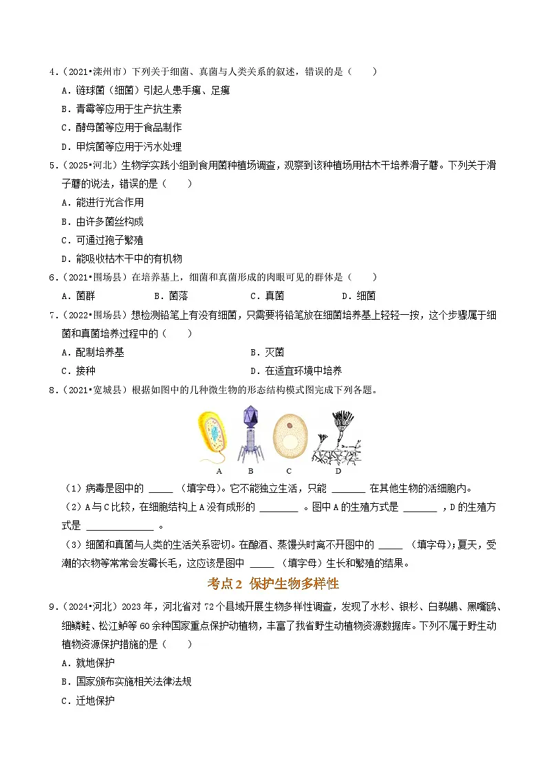 专题03 微生物和生物多样性（原卷版）第2页