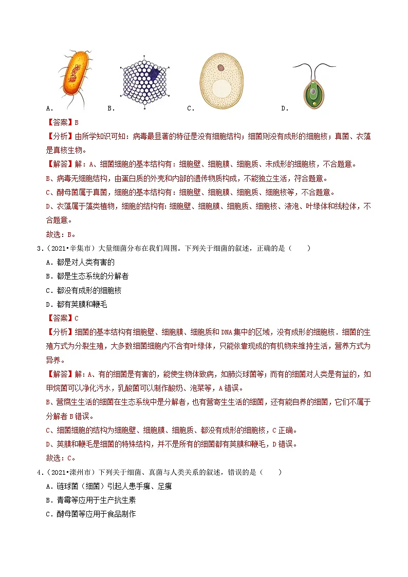 专题03 微生物和生物多样性（解析版）第2页