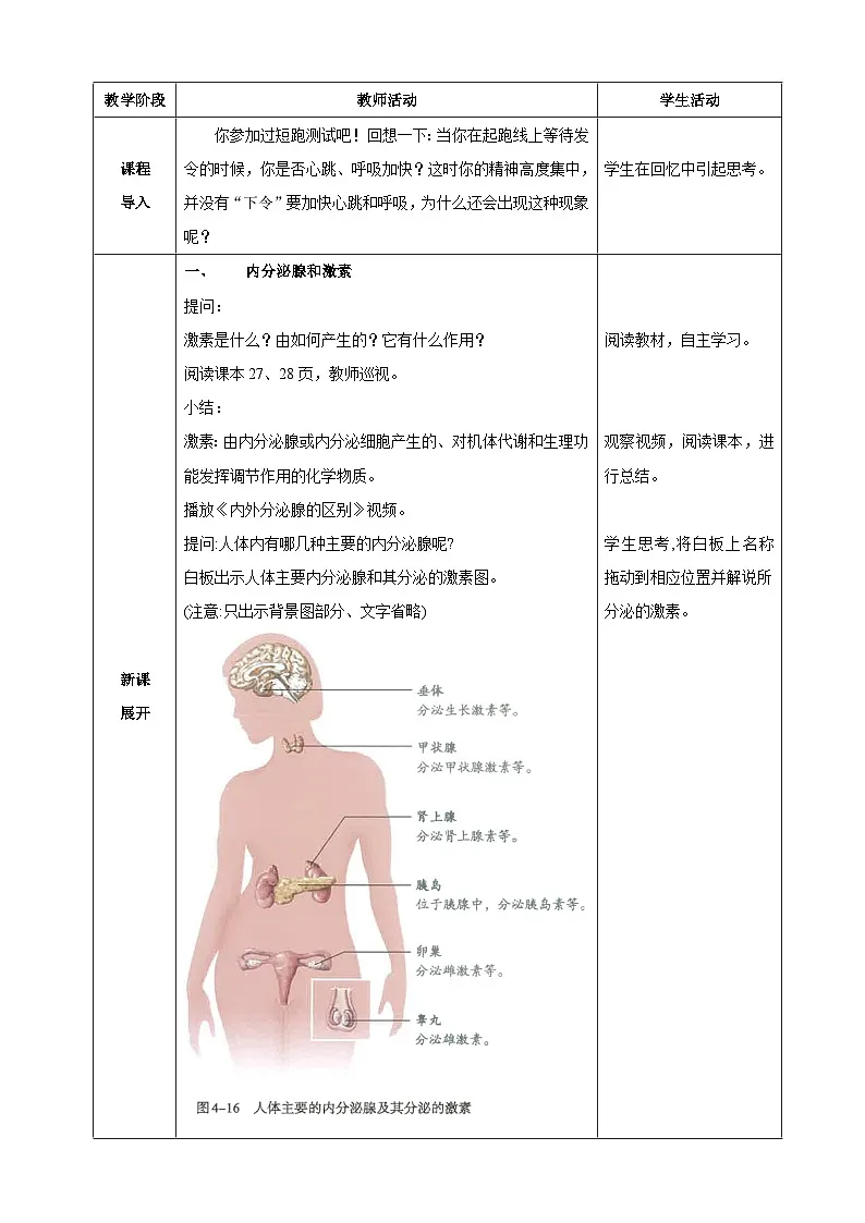 4.6.4 激素调节（教案）2025-2026学年人教版八年级生物上册第2页