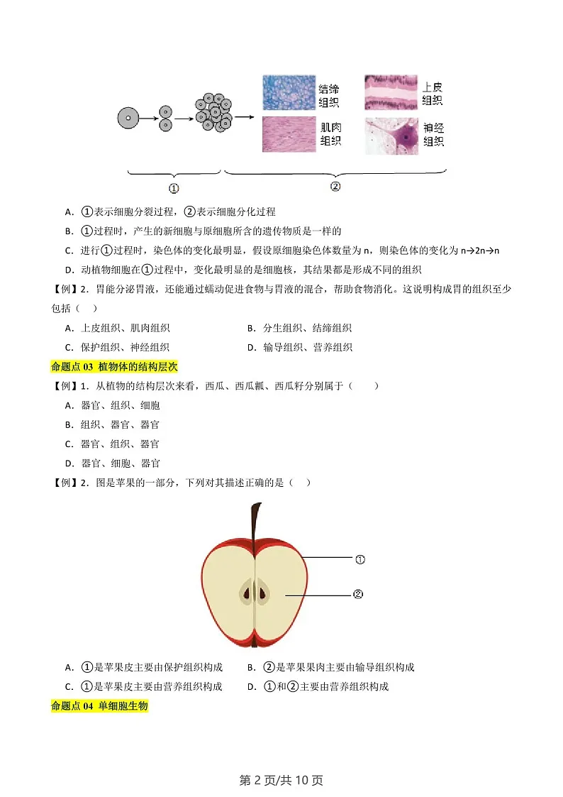 2024-2025学年七年级生物上学期第三章《从细胞到生物体》考题练习（含答案）第2页