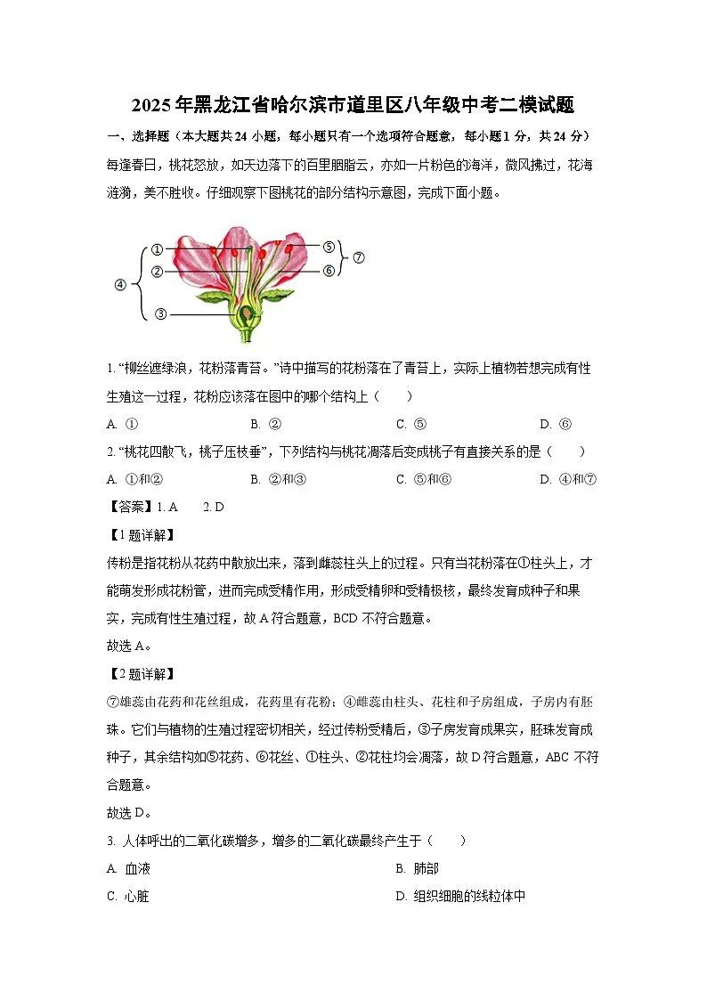 2025年黑龙江省哈尔滨市道里区八年级中考二模生物试题（解析版）第1页