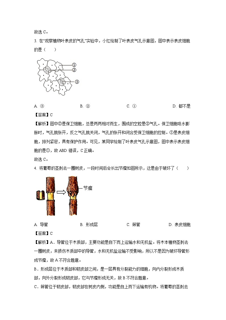 2025年湖南省娄底市涟源市中考三模生物试题（解析版）第2页