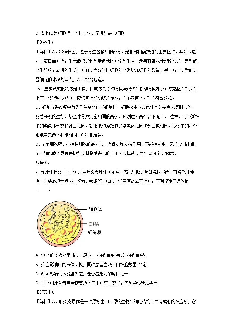 2025年江苏南通海门区中考一模生物试题（解析版）第3页