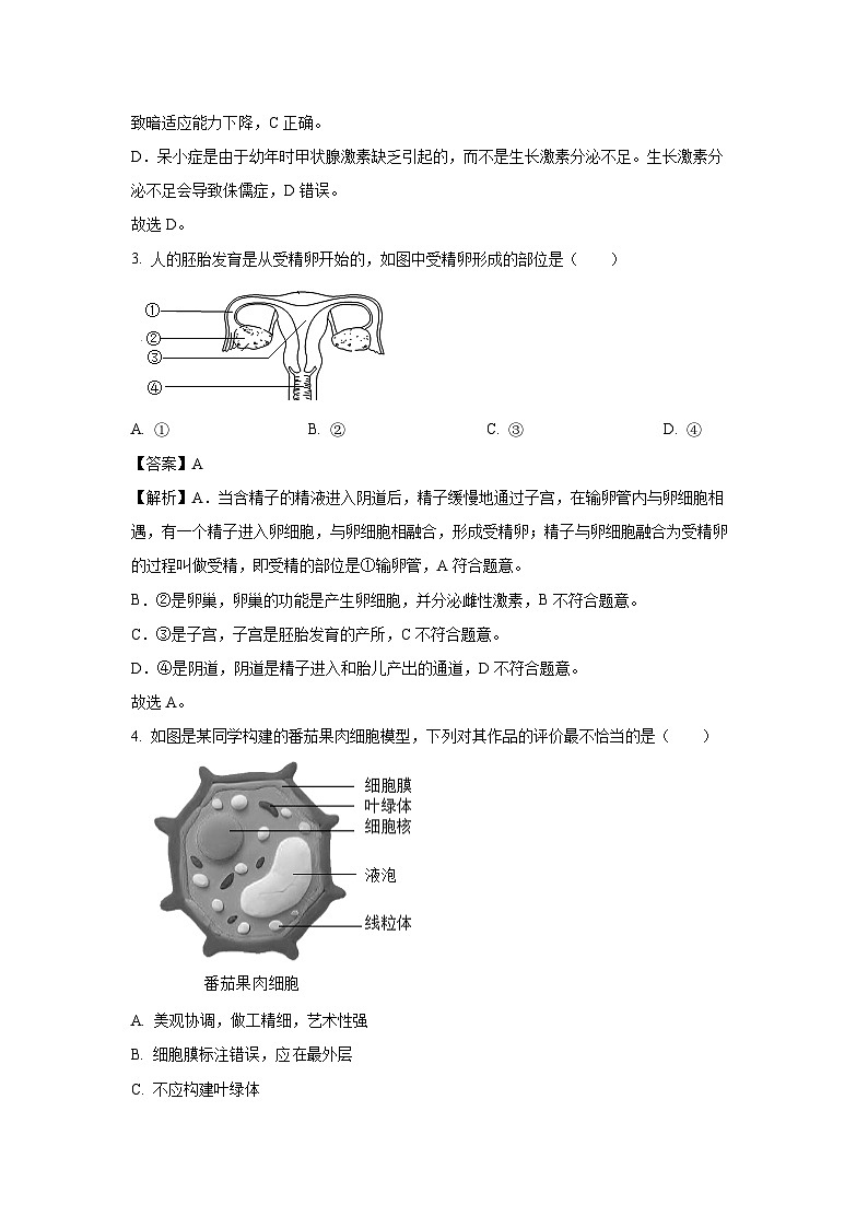 2025年江苏省盐城市两校联考八年级三模生物试题（解析版）第2页