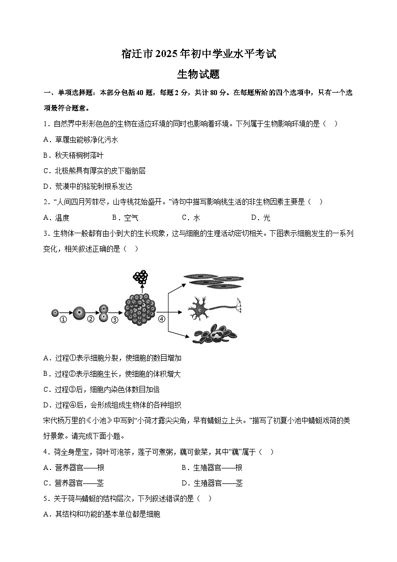 【真题】江苏省宿迁市2025年中考生物试卷（含答案解析）第1页