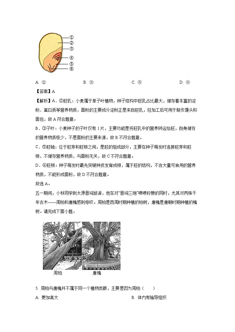 2025年山西省大同市多所名校中考三模生物试卷（解析版）第3页