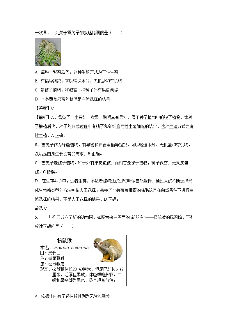 2025年山东省滨州市滨城区中考三模生物试卷（解析版）第3页