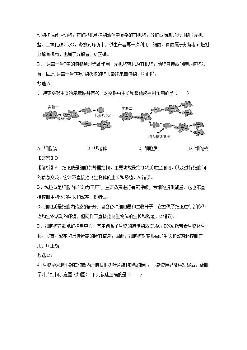 2025年海南省海口市部分学校八年级中考二模生物试卷（解析版）第2页