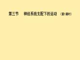 初中  生物  人教版（2024）  八年级上册（2024）  第四单元 人体生理与健康（二）  第六章第三节 神经系统支配下的运动 （共2课时）课件