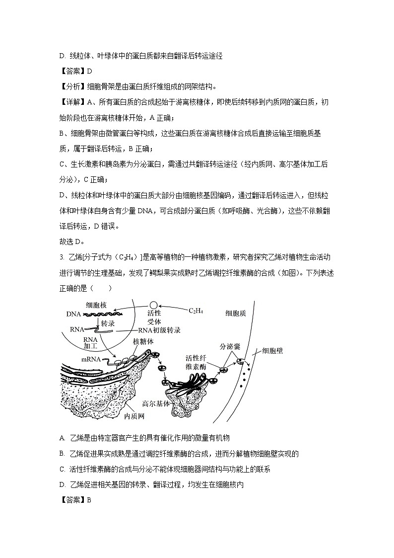 2025届湖北省黄冈市中考八模生物试卷（解析版）第2页