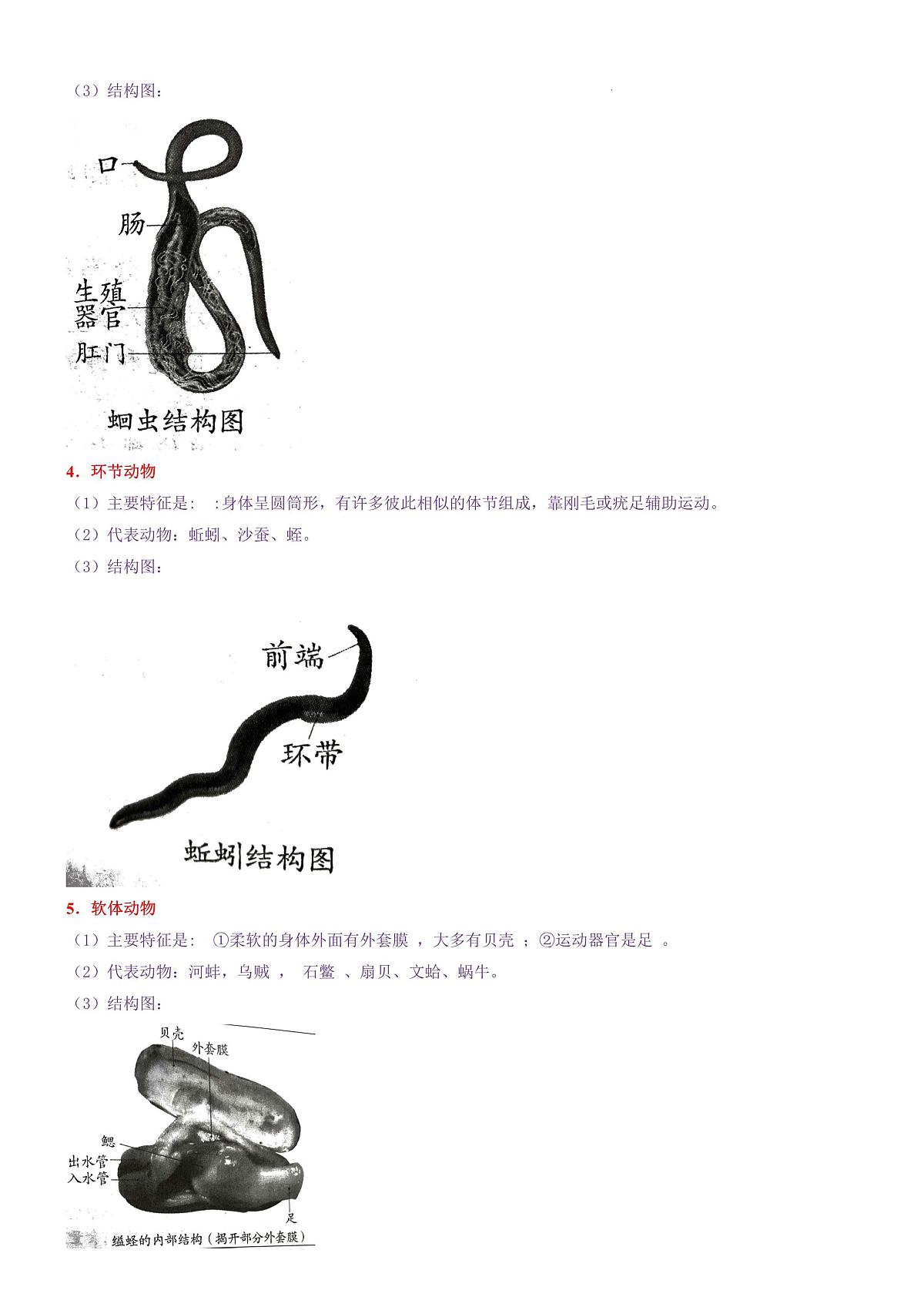 八年级上册生物常考点图表学案第2页