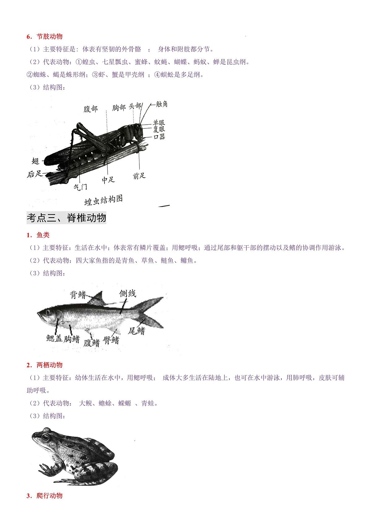 八年级上册生物常考点图表学案第3页
