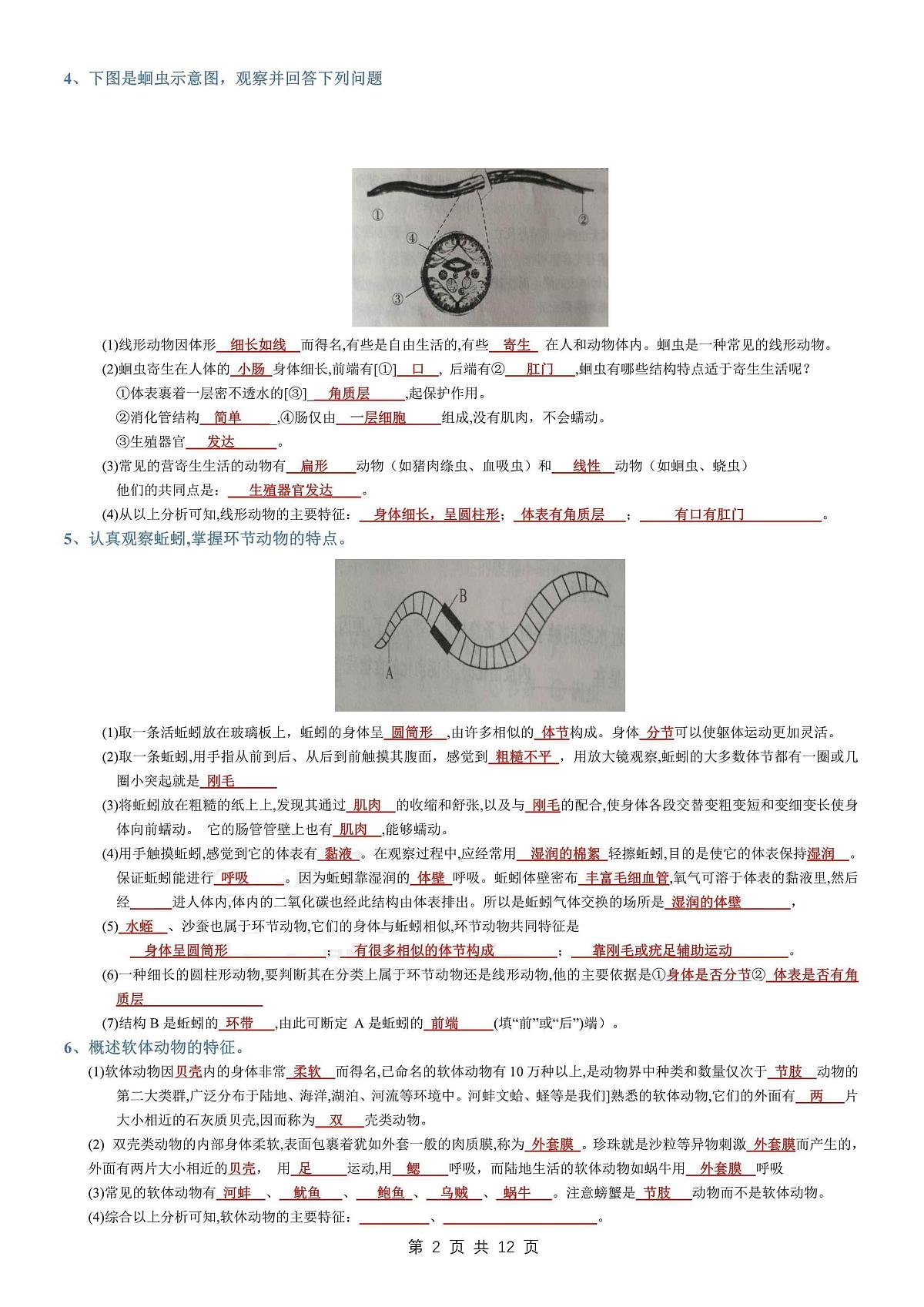 八年级上册生物期末考点填空学案第2页