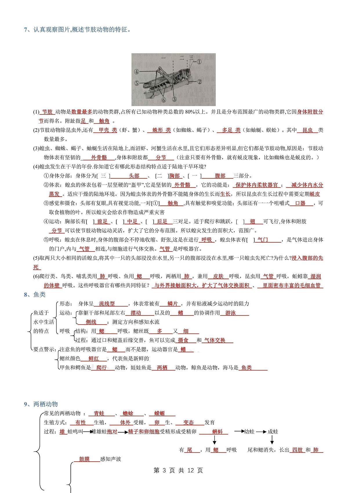 八年级上册生物期末考点填空学案第3页