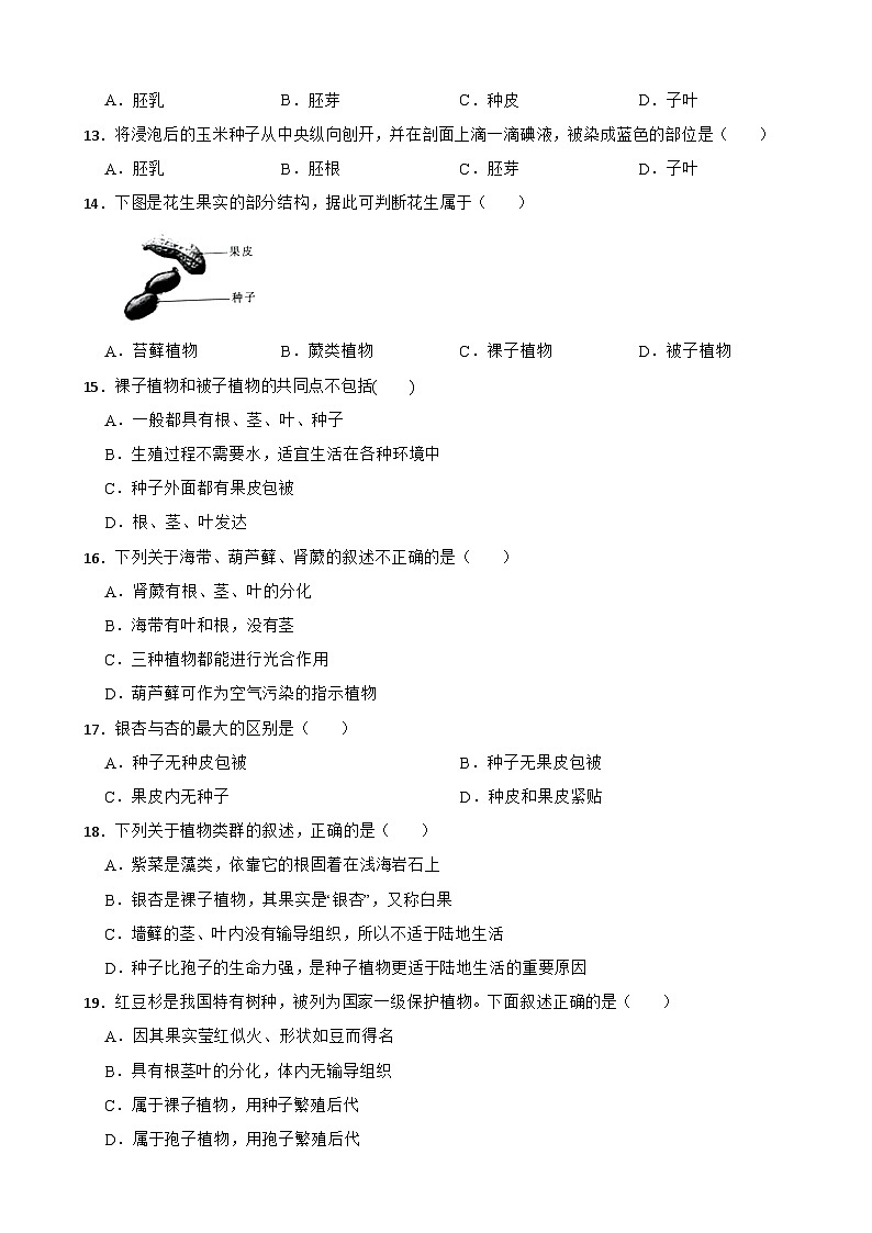 2025-2026人教版七年级上册生物 2.1 植物的类群 单元测试卷（有答案）第2页
