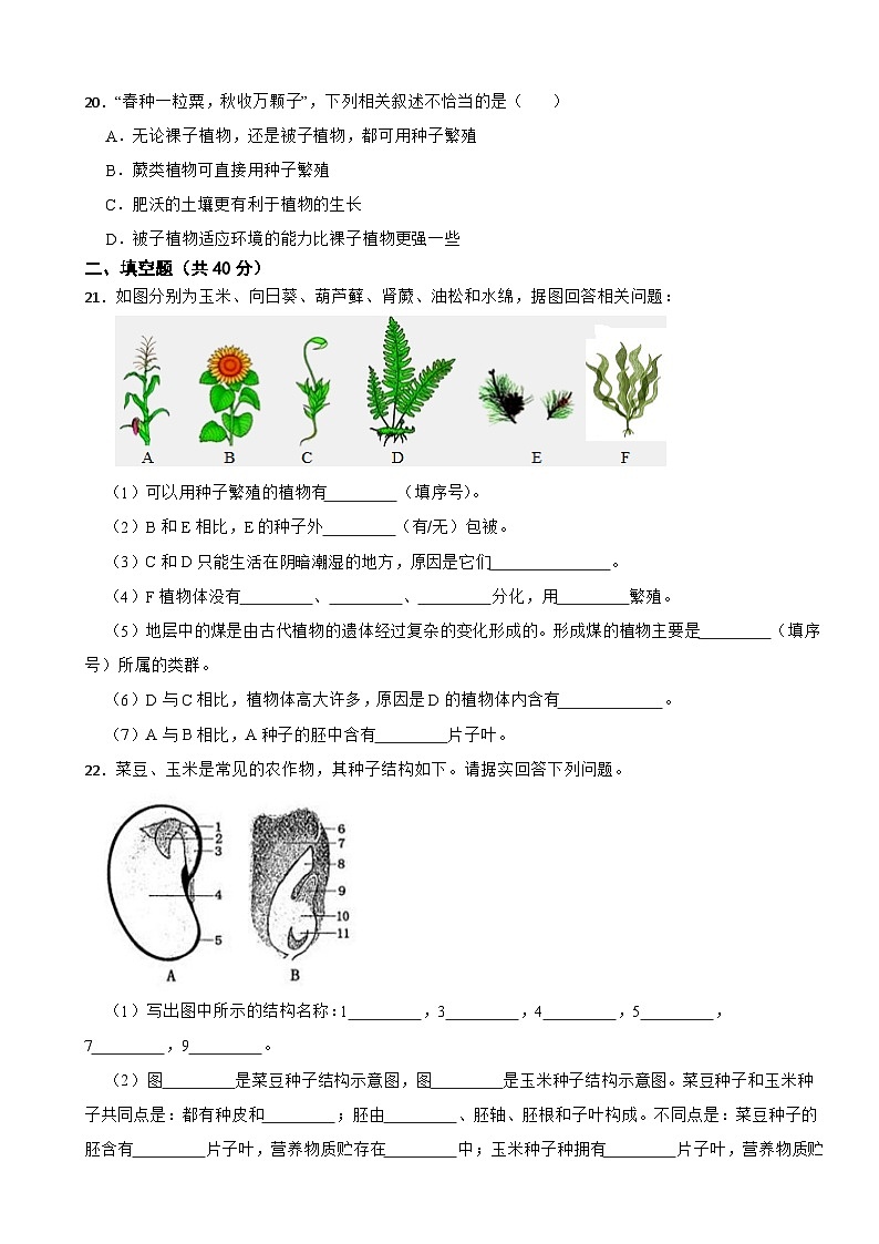2025-2026人教版七年级上册生物 2.1 植物的类群 单元测试卷（有答案）第3页