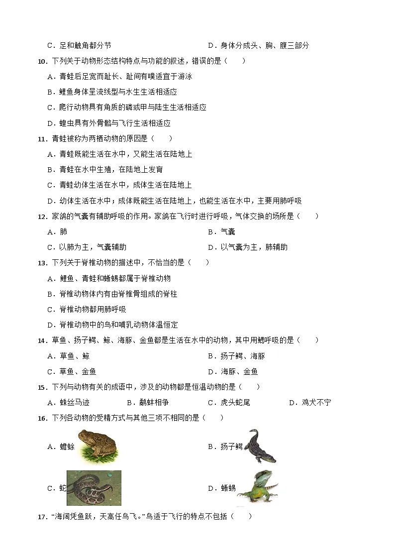 2025-2026人教版七年级生物上册 2.2 动物的类群 单元卷（有答案）第2页
