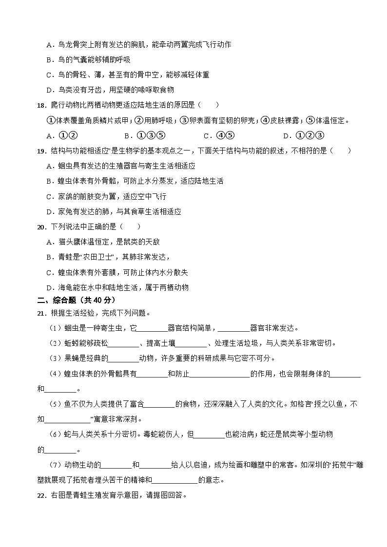 2025-2026人教版七年级生物上册 2.2 动物的类群 单元卷（有答案）第3页