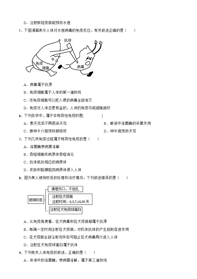 2025-2026人教版生物八年级上册 4.7.2 免疫和免疫规划 同步练习（有答案）第2页
