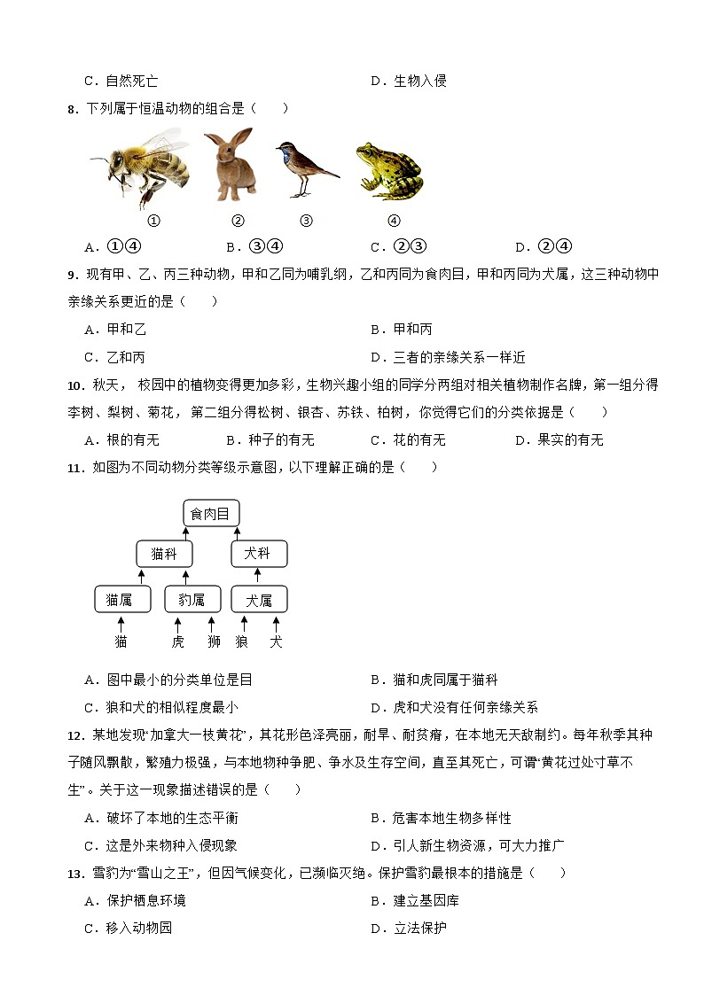 【苏教版2024】2025-2026生物七年级生物第六章生物的分类和多样性的保护单元基础卷（有答案）第2页