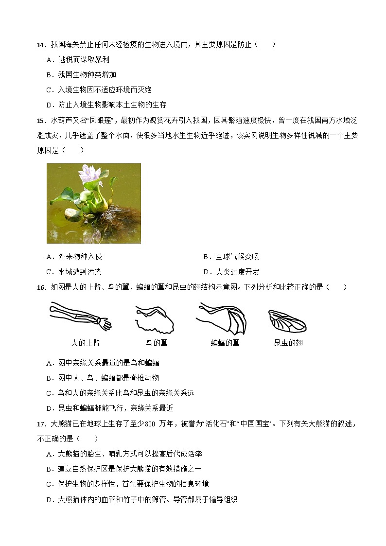 【苏教版2024】2025-2026生物七年级生物第六章生物的分类和多样性的保护单元基础卷（有答案）第3页