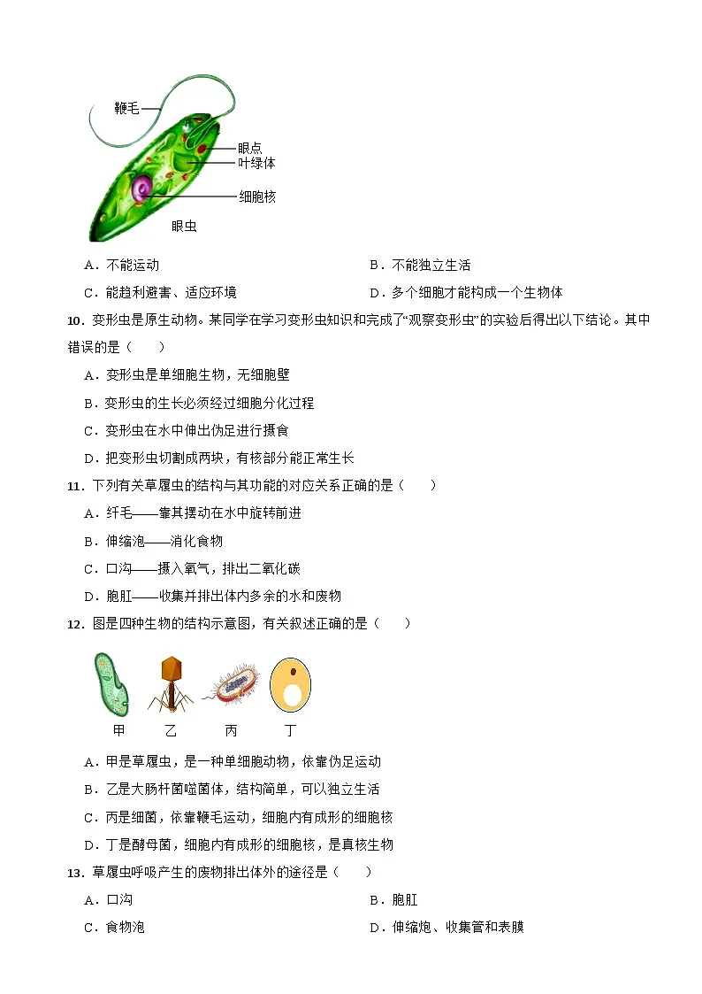 【苏教版2024】2025-2026生物七年级生物第二章生物体的组成单元测试卷（有答案）第3页