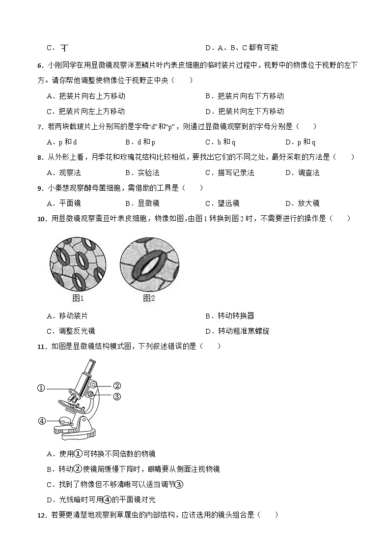 【苏教版2024】2025-2026生物七年级生物第一章认识细胞 单元基础卷（有答案）第2页