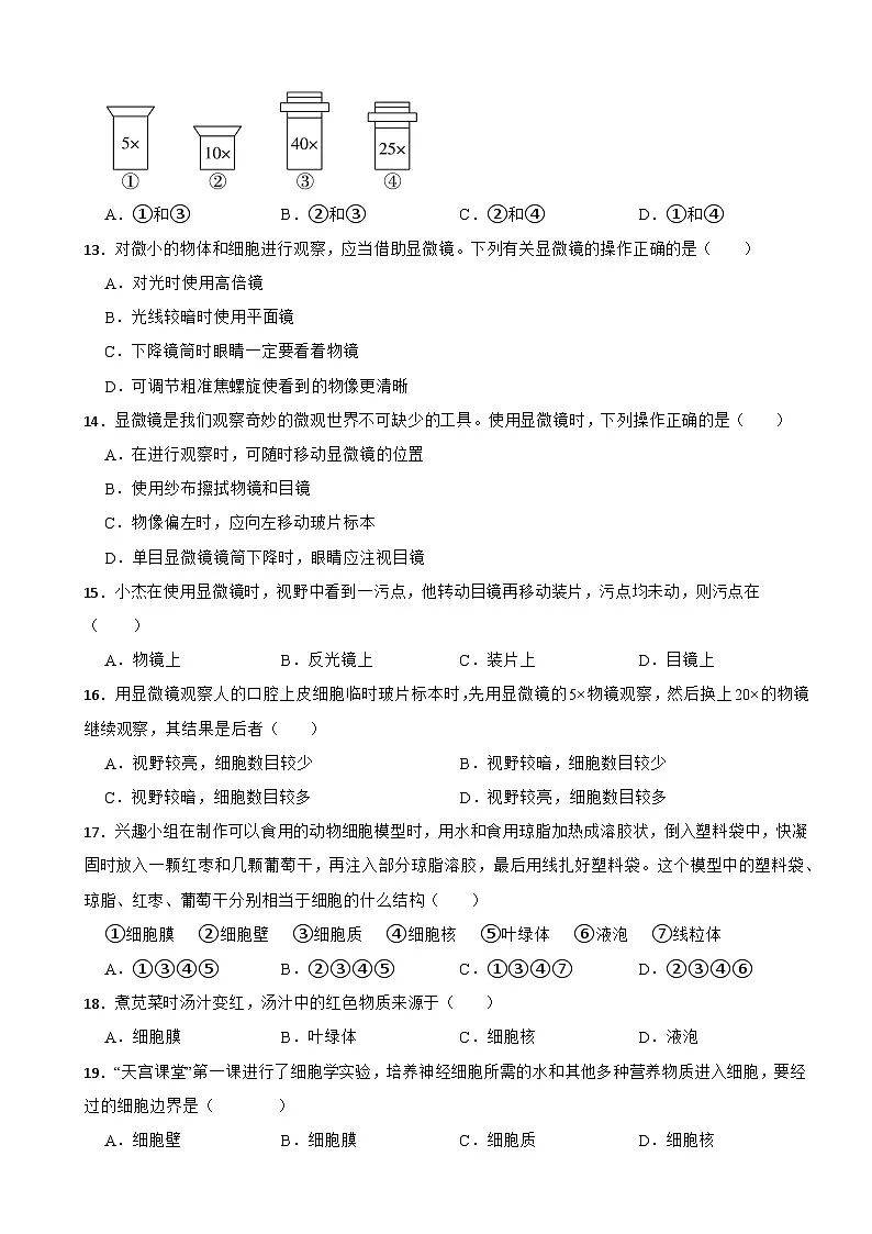 【苏教版2024】2025-2026生物七年级生物第一章认识细胞 单元基础卷（有答案）第3页