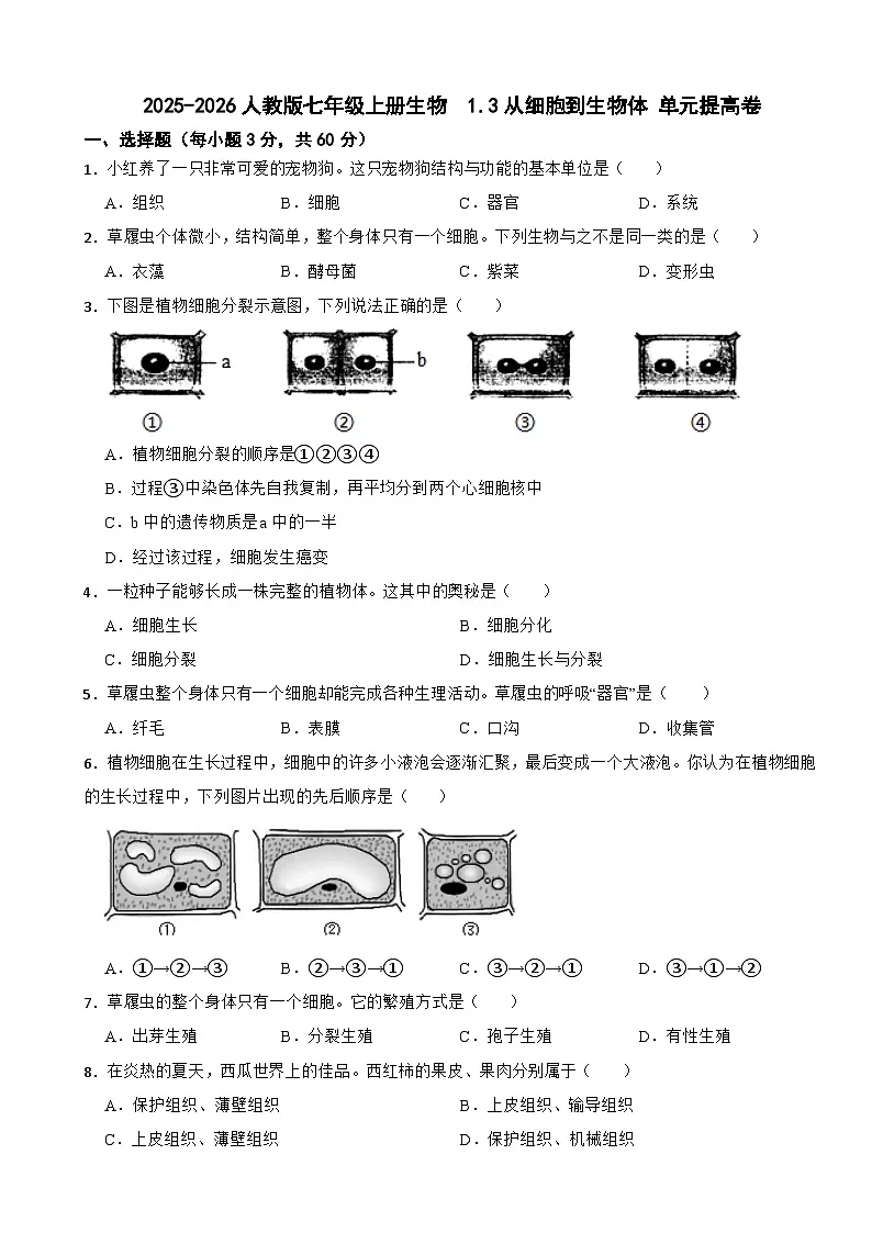 2025-2026人教版七年级上册生物 1.3从细胞到生物体 单元提高卷（有答案）第1页