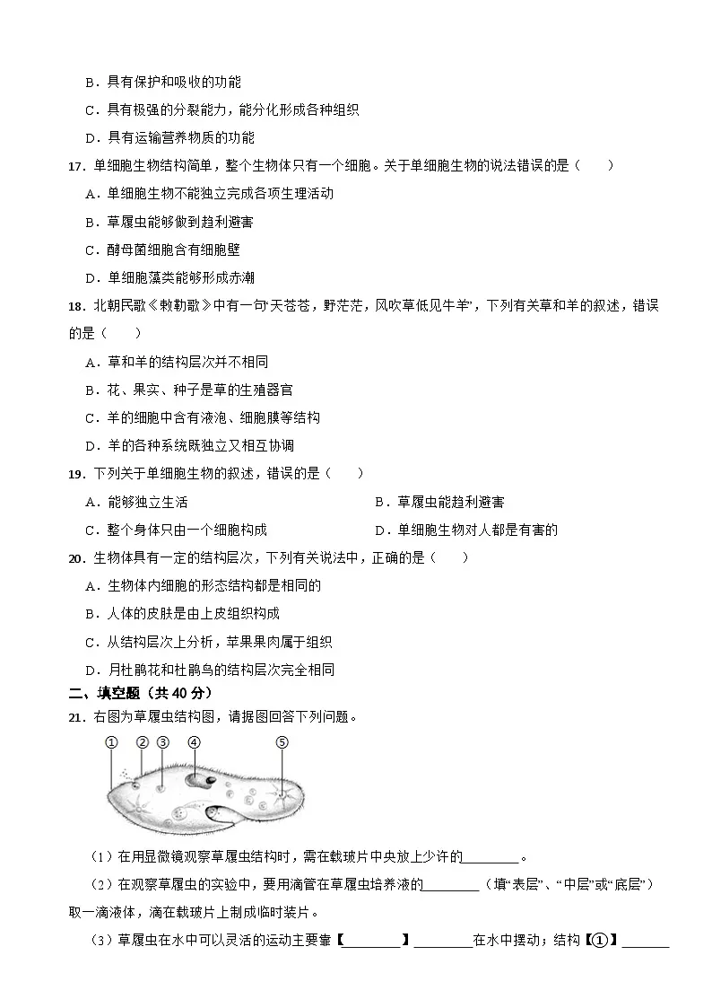 2025-2026人教版七年级上册生物 1.3从细胞到生物体 单元提高卷（有答案）第3页