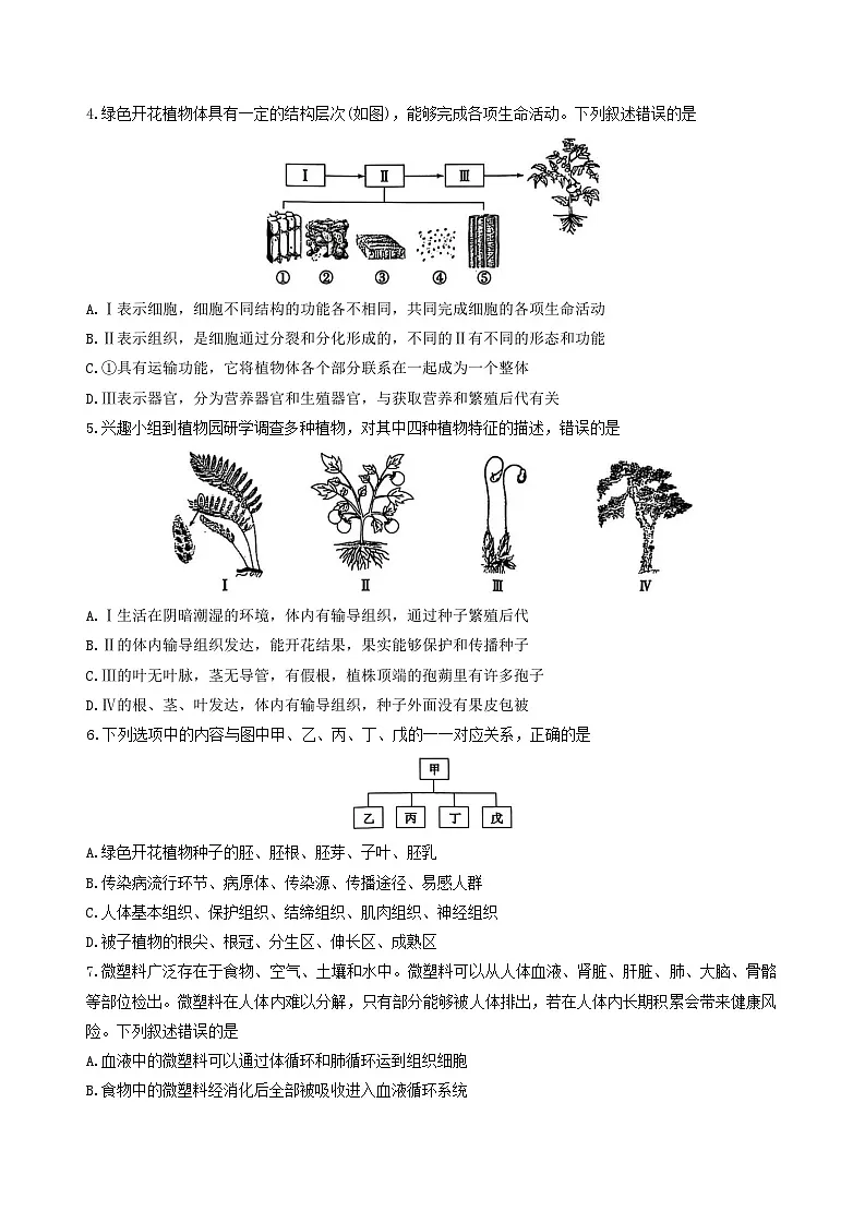 2025年山东省泰安市初中学业水平考试生物学试题（有答案）第2页